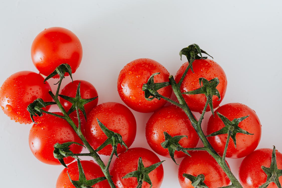 Wet, red tomatoes on a white background.